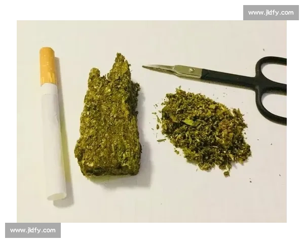 康迪特视角下的大麻争议与社会影响深度解析